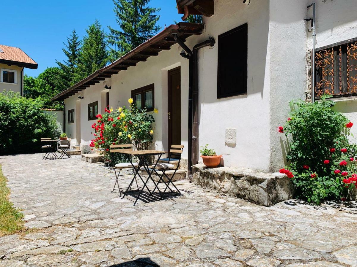 Dei Pini Bed & Breakfast